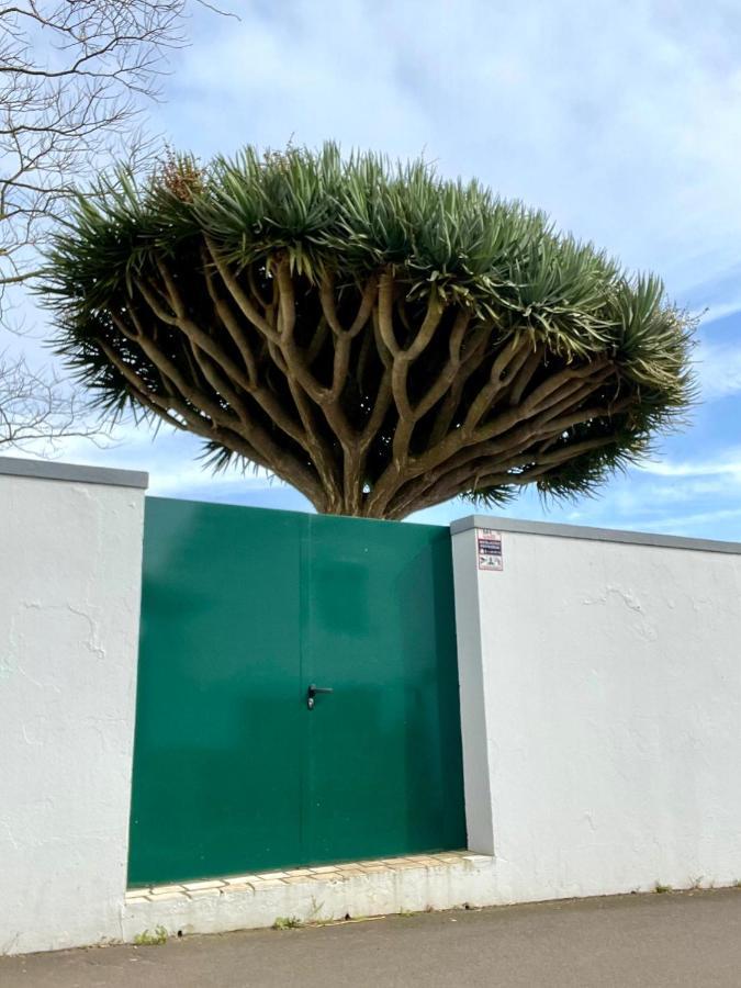 Vila Casa As Sete Angra do Heroísmo Exteriér fotografie